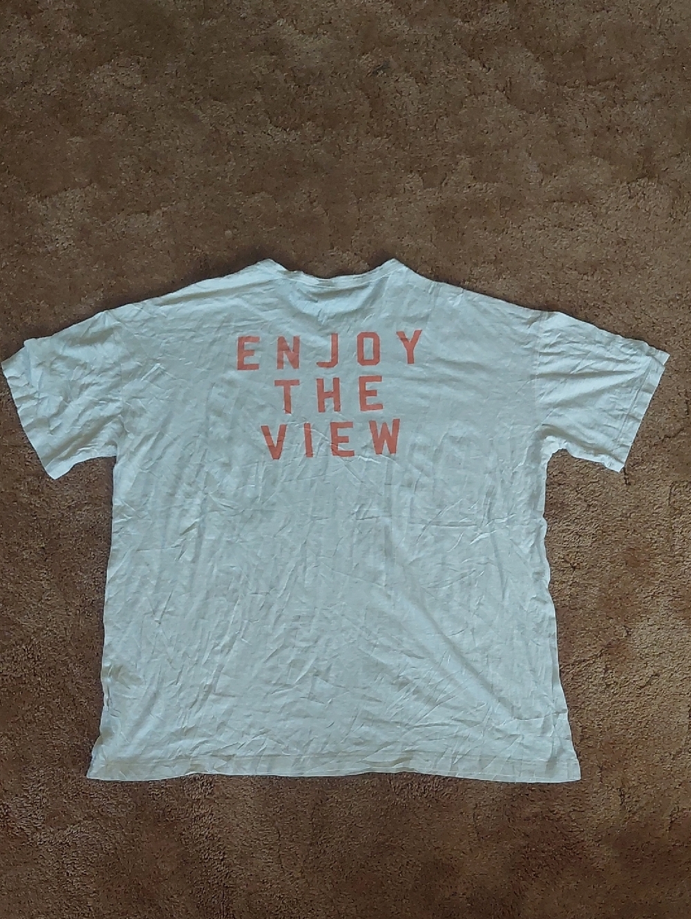 aerie Cream/Tan Lightweight Tee (XL)